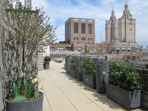 NYC Rooftop Terrace Garden Spring